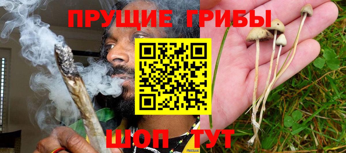 Псилоцибиновые грибы MAGIC MUSHROOMS Ейск