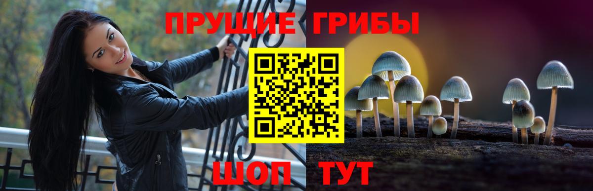 Галлюциногенные грибы мицелий  Вход с VPN  Ейск 